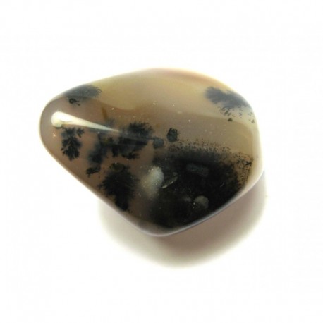 Trommelstein Achat Dendriten 1 Stück