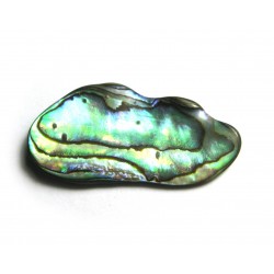 Trommelstein Paua-Muschel 100 g