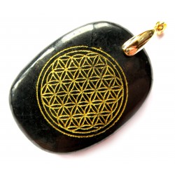 Anhänger Schungit mit  Blume des Lebens  goldfarben