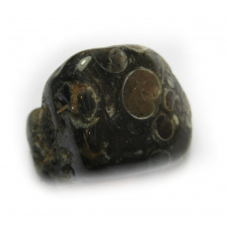 Trommelstein Achat Turitella (Chalcedon) 100 g