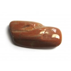 Trommelstein verst. Holz Mammut 100 g