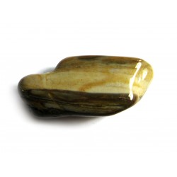 Trommelstein Versteinertes Holz Mix 100 g