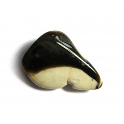 Trommelstein Versteinertes Holz Peanut Wood 100 g