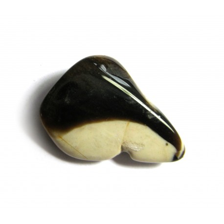 Trommelstein Versteinertes Holz Peanut Wood 100 g