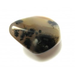 Trommelstein Achat Dendriten 100 g