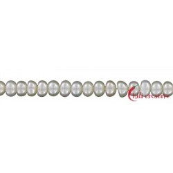 Strang Button Süßwasser-Perle 3,5-4 mm