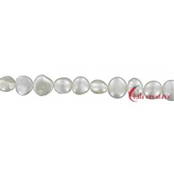 Strang Freeform flach Süßwasser Perle Ab weiß-creme 8-9 mm