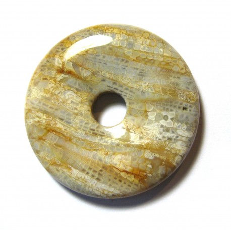 Donut Versteinerte Koralle 40 mm