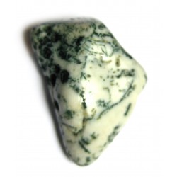 Trommelstein Baumachat 100 g